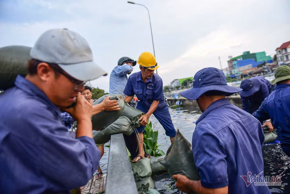 Từ suốt đêm 29 đến chiều tối 30/9, hàng trăm người thuộc nhiều lực lượng đã tham gia cố bờ bao, ngăn nước triều tràn vào nhà dân.
