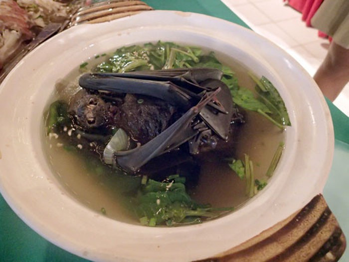 Trên thực tế, không chỉ kinh dị mà món ăn này còn có thể gây độc cho con người.