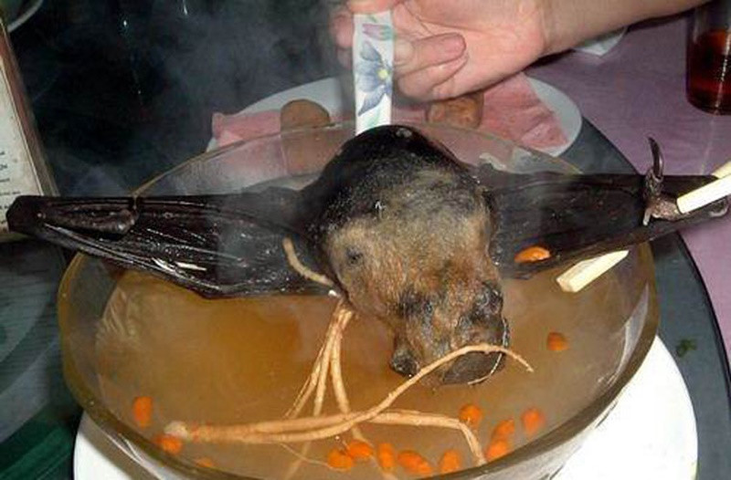 Món súp dơi được đánh giá rất nguy hiểm và có thể gây tử vong nếu không được nấu chín đúng cách. Các ký sinh trùng và mầm bệnh trong thịt dơi sẽ khiến người ăn dễ nhiễm các bệnh nguy hiểm như là Alzheimer và Parkinson.