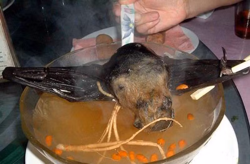 Món súp dơi được đánh giá rất nguy hiểm và có thể gây tử vong nếu không được nấu chín đúng cách. Các ký sinh trùng và mầm bệnh trong thịt dơi sẽ khiến người ăn dễ nhiễm các bệnh nguy hiểm như là Alzheimer và Parkinson.