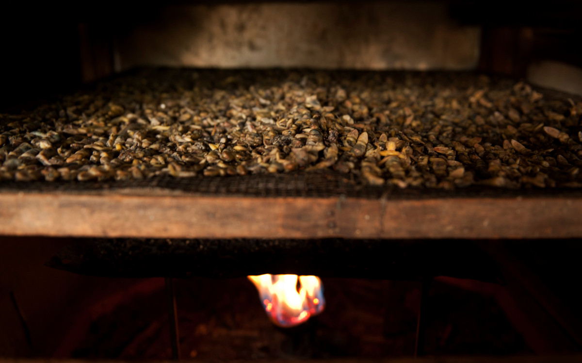 Hầu hết thằn lằn ở đây đều được sơ chế theo phương pháp thủ công với những vật dụng chế biến rất thô sơ.