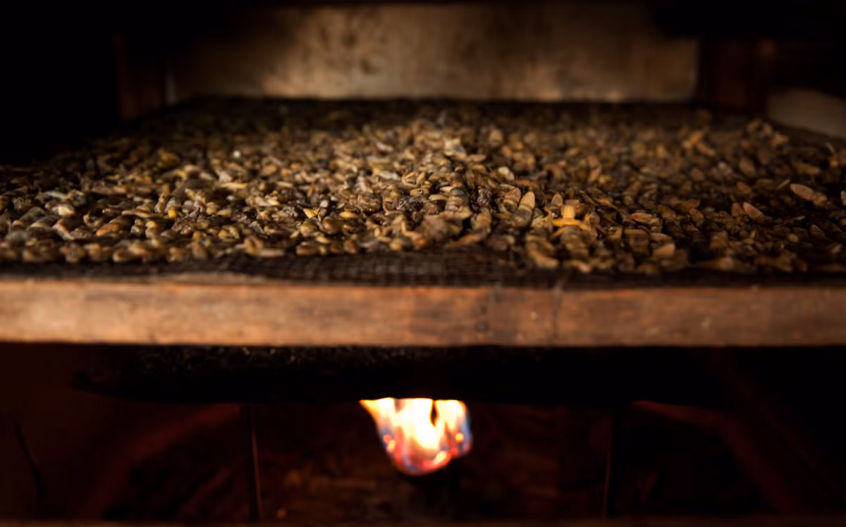 Hầu hết thằn lằn ở đây đều được sơ chế theo phương pháp thủ công với những vật dụng chế biến rất thô sơ.