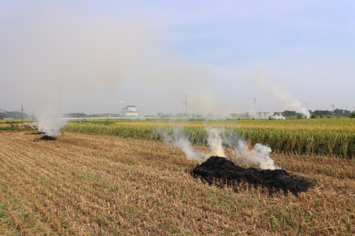 Những "thói quen" đốt rơm rạ này không chỉ gây ô nhiễm không khí và khói, gia tăng nhiệt độ cục bộ mà về lâu dài còn có thể ảnh hưởng đến sức khỏe cộng đồng do nguy cơ phát sinh các chất ô nhiễm hữu cơ khó phân hủy, tồn tại bền vững trong môi trường.