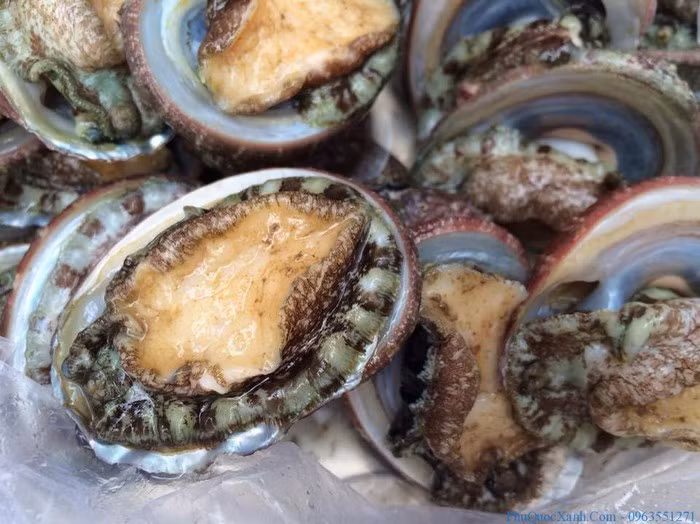 Bào ngư Phú Quốc: Ngoài tên gọi nổi tiếng, bào ngư Phú Quốc người địa phương nơi đây còn gọi là hải nhĩ, có thể vì nó giống như cái tai con người. Bào ngư tươi sống có thể chế biến được nhiều món ăn dân dã như luộc, nướng, xào, nấu cháo… Trong đó hấp dẫn nhất là bào ngư nướng lửa than.