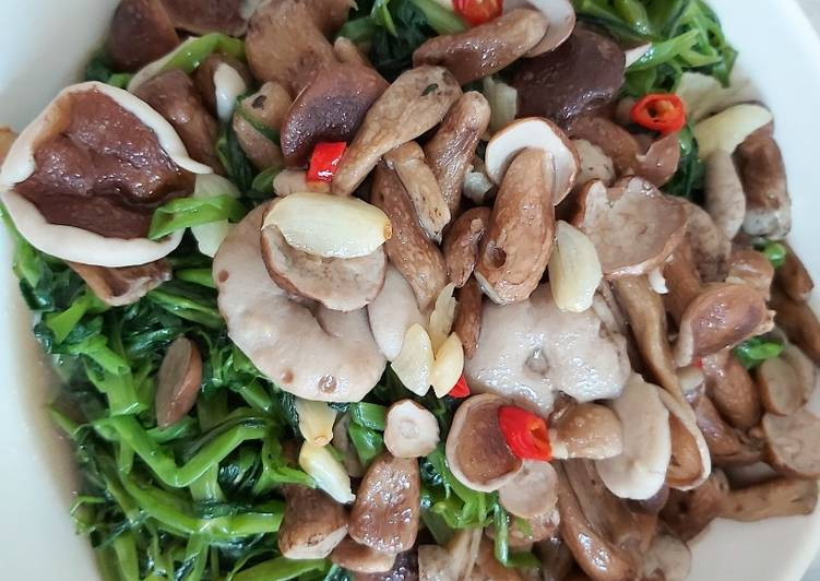 Nấm Tràm: Đây là thứ đặc sản Phú Quốc thường có nhiều vào mùa mưa. Nấm Tràm ngon không thua kém gì với nấm rơm, nấm kim chi hay nấm bào ngư. Đây là loại nấm tự nhiên nên người dân trên đảo Phú Quốc phải đi vào những khu đồng tràm để hái mang về đem chế biến.