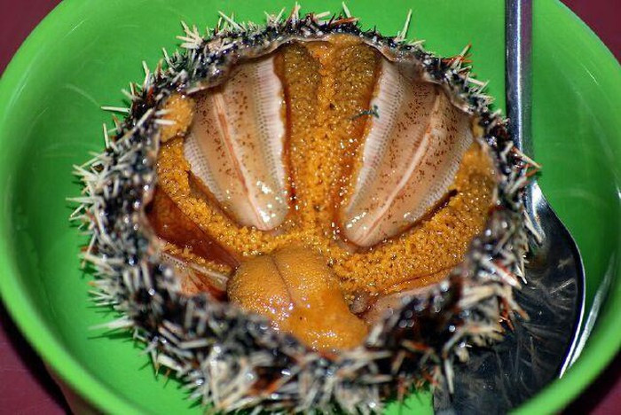 Nhum: Là món hải sản Phú Quốc mà người dân nơi đây vừa thương vừa ghét, ghét là khi lặn xuống biển dễ bị dính gai. Nhưng đổi lại con nhum là sản vật “ đáng khoe” của người dân ở đây. Hương vị nhum biển Phú Quốc không giống bất cứ một loại hải sản nào. Thịt và trứng của nó vừa ngọt, béo, thơm tựa gạch cua bể lẫn dư vị mằn mặn của biển…