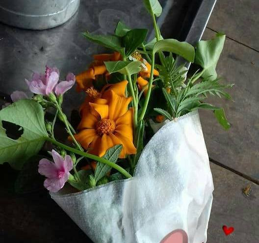 Khi lương chưa về thì các ông chồng có thể tặng vợ một bó hoa dại tự bó. Ảnh: Internet. Video "Chế biến món ngon từ nấm đông cô". Nguồn: VTC.