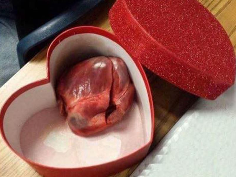 Đúng là "dành trọn cả trái tim" cho em rồi.