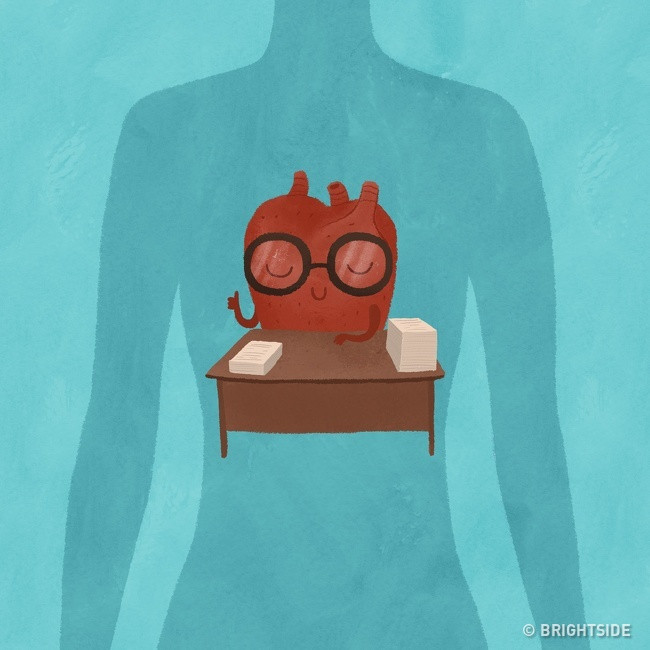 Tốt cho tim mạch: Nửa tim bên trái nhận máu từ phổi và bơm ra toàn cơ thể. Do đó, tư thế ngủ này sẽ giúp trái tim bạn thực hiện công việc dễ dàng và hiệu quả hơn. Lúc này, trọng lực hỗ trợ hệ thống tuần hoàn, đặc biệt là động mạch chủ và tĩnh mạch chủ bên dưới.