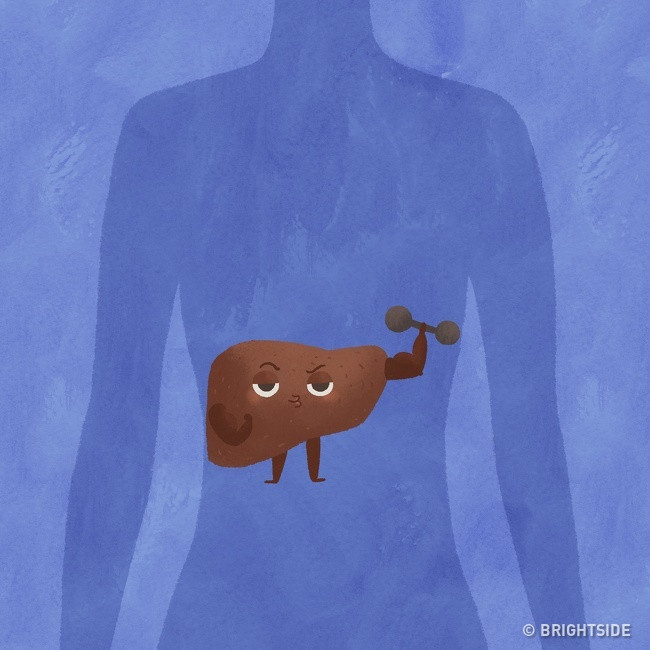 Giúp gan tránh quá tải: Vì gan nằm bên phải, nằm nghiêng về bên phải sẽ gây áp lực cho cơ quan này. Tuy nhiên, tư thế ngủ nghiêng bên trái sẽ không để độc tố và các chất có hại khác khiến gan bạn quá tải.