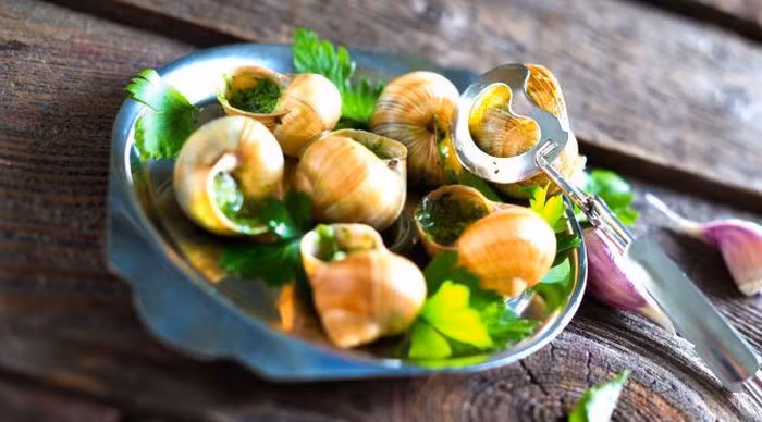 Thông thường, các món ăn làm từ ốc sên sẽ là những món khai vị trong bữa ăn của người Pháp. Escargot là cách người Pháp gọi ốc sên và là một cái tên vô cùng quen thuộc trong các thực đơn tại nhà hàng Pháp trên toàn thế giới. Ảnh: Wordpress.