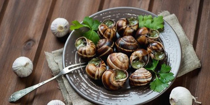 Cách phổ biến nhất là kết hợp ốc sên với bơ và tỏi, gà hoặc rượu vang. Một số nguyên liệu gia tăng hương vị có thể thêm vào như cỏ xạ hương, mùi tây, hạt thông. Ảnh: Marieclaire.
