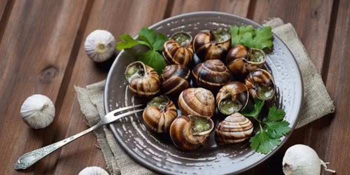 Cách phổ biến nhất là kết hợp ốc sên với bơ và tỏi, gà hoặc rượu vang. Một số nguyên liệu gia tăng hương vị có thể thêm vào như cỏ xạ hương, mùi tây, hạt thông. Ảnh: Marieclaire.