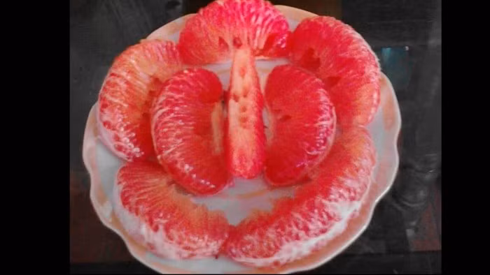 Bưởi Luận Văn có màu đỏ đậm khi chín, quả bưởi chuyển dần sang màu đỏ gấc, vỏ quả, cùi quả, vỏ múi, có màu đỏ rất đẹp mắt, múi bưởi đỏ hồng, mọng nước, ngọt, hương thơm đặc trưng. Giống bưởi này cũng nằm trong danh sách những đặc sản tiến vua nhiều năm trước. Ảnh: Nông nghiệp Việt Nam. Video "Chế biến món ngon từ nấm đông cô". Nguồn: VTC.