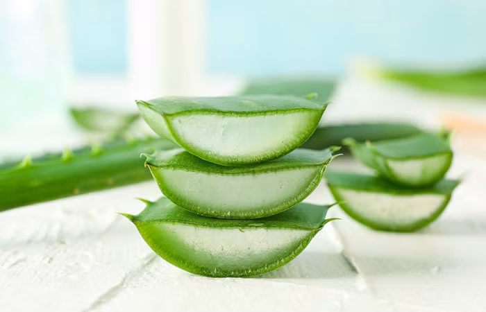 Lô hội. Dùng gel lô hội thoa lên da đầu, mát-xa nhẹ nhàng đề gel ngấm vào da đầu, để khoảng 1 giờ rồi gội đầu sạch. Thực hiện ít nhất 2 lần/tuần để loại bỏ gàu.