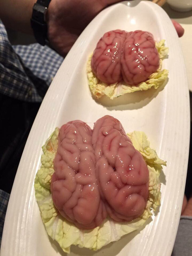 Óc khỉ: Món ăn này nổi tiếng dã man, từng là món dùng để chiêu đãi khách của Từ Hy Thái Hậu. Trước khi đưa lên thớt, bầy khỉ được tám rửa sạch sẽ. Óc được xối qua bằng nước sâm nóng hổi cho chín tái, bớt đỏ.