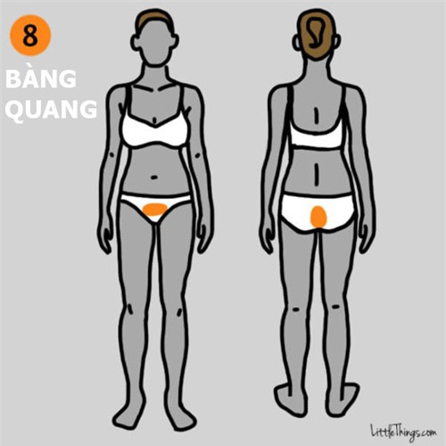 9 vi tri dau tren co the canh bao benh nguy hiem de doa tinh mang-Hinh-3