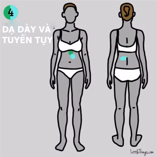 9 vị trí đau trên cơ thể cảnh báo bệnh nguy hiểm đe dọa tính mạng - Hình 2 9 vi tri dau tren co the canh bao benh nguy hiem de doa tinh mang-Hinh-2