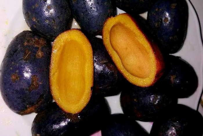 Cọ om (cọ ỏm): Trái cọ dùng để om phải là cọ già thì mới ngon. Cọ càng già thì vị càng ngậy, càng béo và bùi. Cọ mang về đem xóc với những cật nữa sắc để cạo bỏ lớp vỏ bên ngoài. Sau đó đem cọ thả vào nồi nước sôi lăn tăn, để một lúc là cọ sẽ chín mềm. Ảnh: Zing.