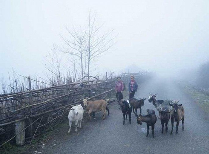 Du bao thoi tiet hom nay 25/11: Dem nay Bac Bo chuyen mua ret