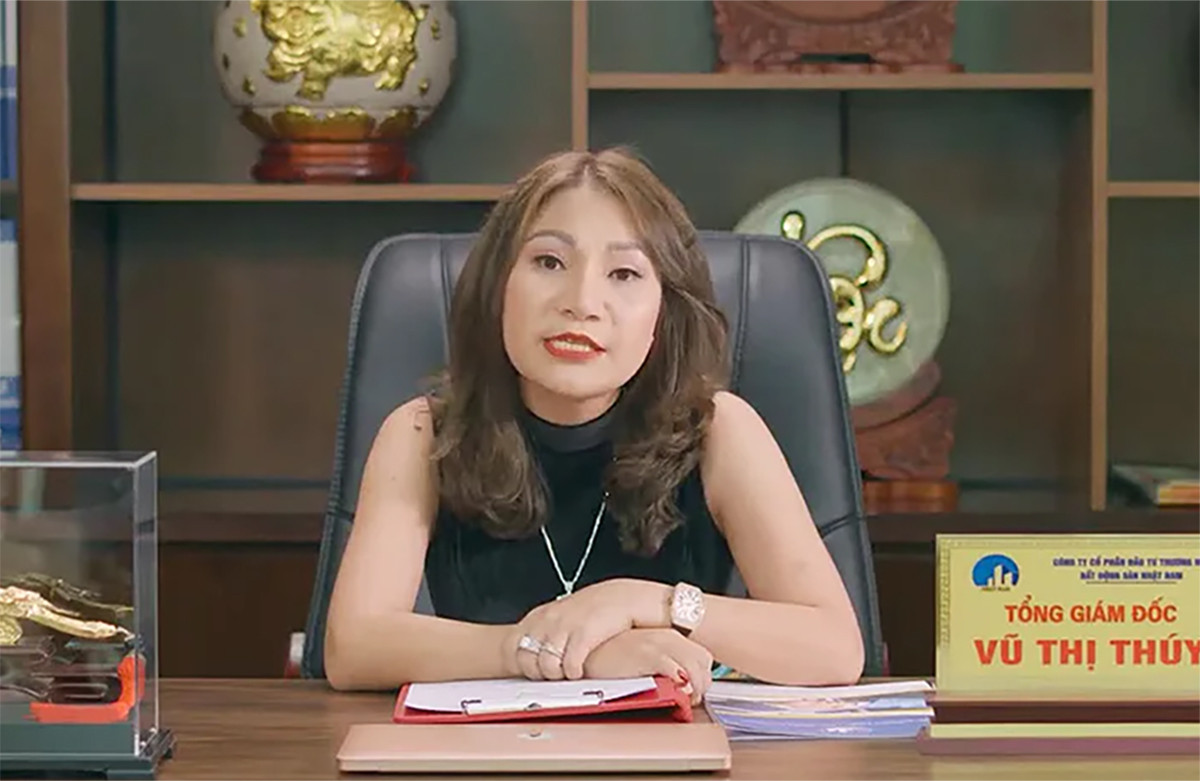 Trước đó, Công ty Nhật Nam thành lập nhiều chi nhánh và các văn phòng giao dịch bất động sản tại các tỉnh, thành phố trên cả nước, lôi kéo nhiều nhà đầu tư tham gia góp vốn với cam kết trả lợi nhuận hàng ngày với tỷ suất lợi nhuận cao (từ 5-7%/tháng, tương đương 60-84%/năm, kèm theo nhiều ưu đãi bất động sản). 