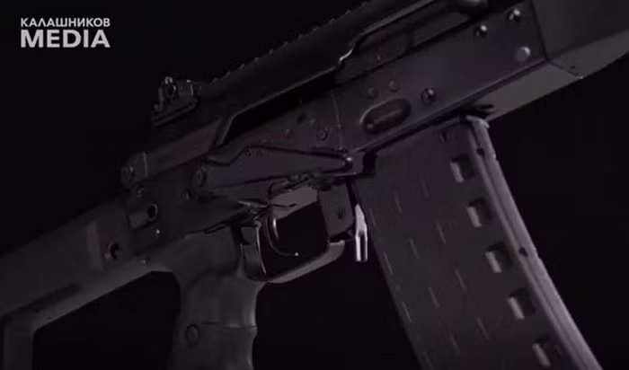 Các mẫu súng AK hiện đại sau này vẫn đang chật vật tìm chỗ đứng trong biên chế chính thức của quân đội các quốc gia trên thế giới.