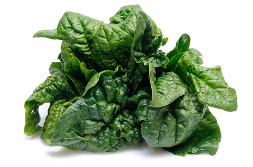 Các nhà khoa học lưu ý, bạn nên dùng bina cùng với quýt, nho khô để dễ dàng tiêu hóa nguồn carbs phong phú. Việc tận dụng dầu ô liu, giấm để tăng cường hấp thụ vitamin trong rau bina cũng rất được khuyến khích.