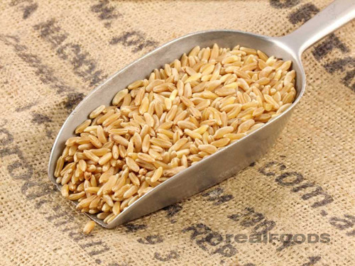 Điều đặc biệt khi đi vào cơ thể, kamut có khả năng làm giảm cholesterol xấu, lượng đường trong máu, ngăn ngừa tình trạng viêm nhiễm. Kamut cũng chứa lượng sắt, kẽm, vitamin B vô cùng dồi dào.