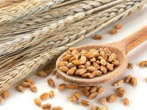 Ăn quá nhiều chất xơ. Chất xơ thực sự cần thiết cho nhu động ruột. Nó được tìm thấy ở hầu hết các loại ngũ cốc, trái cây và rau xanh. Dù tốt song bệnh nhân suy giáp chỉ nên ăn lượng hợp lý bởi chúng dễ giảm tác dụng các loại thuốc đang dùng.