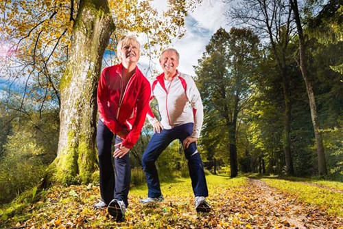 Cụ thể, loại protein HSP10 - giúp theo dõi, tổ chức việc liên hệ giữa các loại protein trong cơ thể - phản ứng lại sự căng thẳng môi trường như việc tập thể dục và nhiễm trùng bằng cách tăng các tế bào sản xuất bên trong. Việc có thừa lượng protein HSP10 bên trong ty lạp thế (mitochondria) - một cấu trúc nơi sản xuất năng lượng của tế bào - có thể ngăn chặn sự lão hóa của cơ thể thông qua việc giữ lại sức mạnh của cơ bắp.