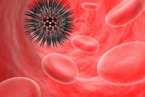 Loại trái cây này chứa nhiều chất béo, làm tăng cholesterol tốt, ngăn ngừa các bệnh về tim mạch. Với nhiều protein, dầu, bơ giúp da sáng, bảo vệ cơ thể khỏi các loại ung thư nguy hiểm.