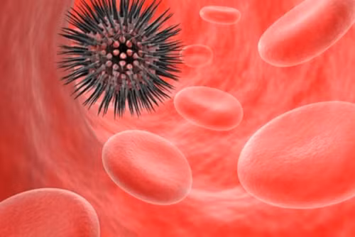 Loại trái cây này chứa nhiều chất béo, làm tăng cholesterol tốt, ngăn ngừa các bệnh về tim mạch. Với nhiều protein, dầu, bơ giúp da sáng, bảo vệ cơ thể khỏi các loại ung thư nguy hiểm.