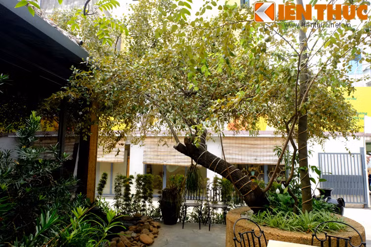 Khoảng sân nhỏ rợp bóng cây xanh.