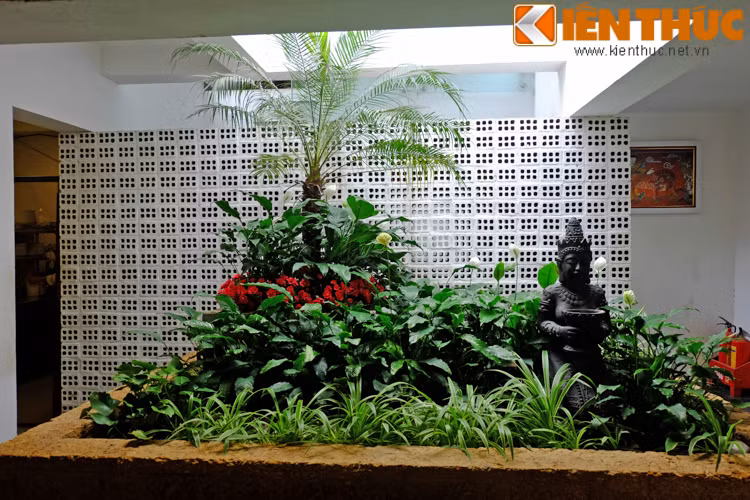 Tiểu cảnh cây xanh, tượng phật bên trong nhà là điểm nhấn tĩnh lặng, đậm chất thiền.