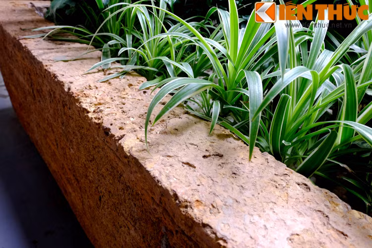 Vật liệu đá ong xuất hiện xuyên suốt trong nhiều hạng mục thiết kế ngôi nhà.