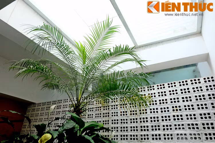 Đây cũng là nơi được lấy sáng nhờ hệ kính lắp trên trần.