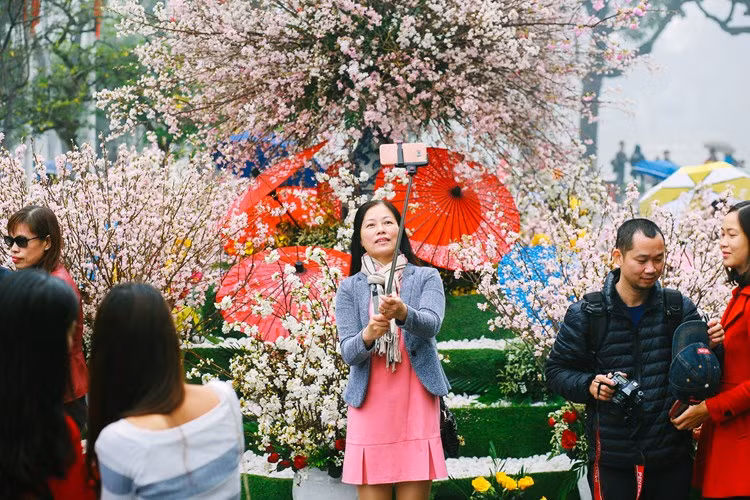 150 cây anh đào và 7.000 cành hoa đã được vận chuyển, bảo quản cẩn thận theo quy trình của các chuyên gia Nhật Bản đã bung nở, tươi tắn trong ngày lễ hội.