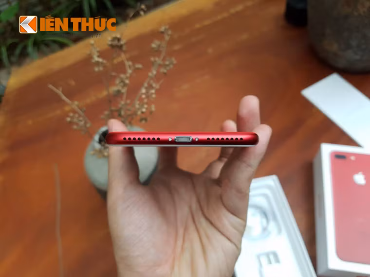 Các chi tiết như phần kim loại bên trong cổng sạc, hai vít đuôi máy nổi bật vì dùng màu bạc thay vì đồng màu với máy như các phiên bản khác của Apple.