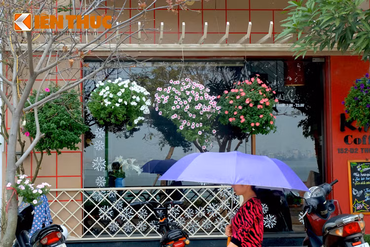 Với không gian đô thị chật chội, bụi bặm, một vào giỏ hoa, chậu cây xanh treo trước hiên hoặc ban công nhà... chính là một góc riêng để gia chủ thư giãn, nghỉ ngơi sau những bận rộn đời thường.