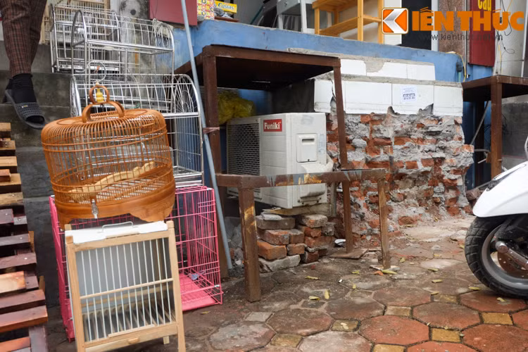 Chiếc kệ sắt dùng để bày hàng hóa trước đây, nay được chủ một cửa hàng kinh doanh nội thất tận dụng làm chiếc thang bất đắc dĩ mỗi khi ra vào.