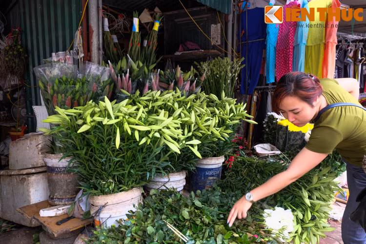 Một cô gái cẩn thận lựa từng bông hoa để mua.