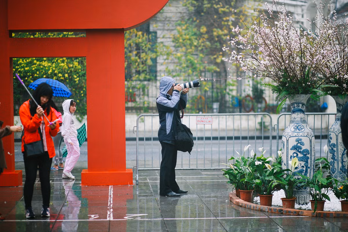 Các phó nháy tranh thủ lưu lại khoảnh khắc đẹp của hoa anh đào.