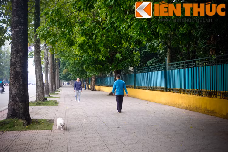 Hà Nội vừa ra quân triển khai chiến dịch "giành lại vỉa hè", xử lý hàng quán buôn bán, bãi đỗ xe lấn chiếm vỉa hè tại nhiều tuyến phố. Bên cạnh những con phố còn tồn tại những bất cập về việc lấn chiếm vỉa hè thì Hà Nội vẫn có nhiều con đường, tuyến phố có vỉa hè rộng rãi, thoáng đãng.