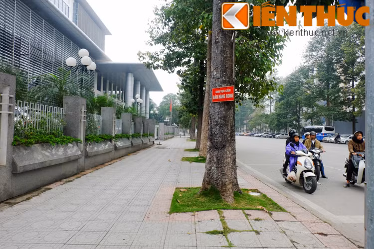 Trái ngược với cảnh ồn ã, xô bồ tại nhiều con phố, Hà Nội vẫn có những góc rất bình yên như thế này.