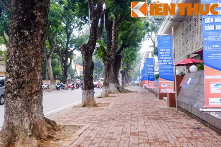 Đường Lê Hồng Phong - khu vực trung tâm hội nghị quốc tế (Ba Đình, Hà Nội) cũng là một điểm được người dân yêu thích, đặc biệt là khách du lịch. Họ có thể thoải mái tản bộ, ngắm cảnh Hà Nội.