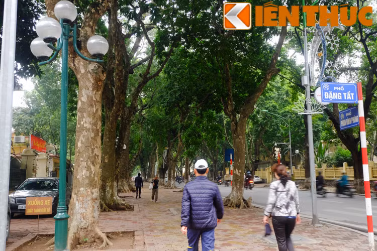 Chị Mai (39 tuổi, nhà ở phố Đặng Tất, Hà Nội) chia sẻ: "Con phố này rất sạch sẽ, chiều nào tôi cũng ra đây tập thể dục. Chỉ cần đi bộ dưới hàng cây xanh thôi cũng thấy khỏe người rất nhiều. Ở đây không có cảnh vỉa hè nhếch nhác, rác bẩn và để xe tràn lan".
