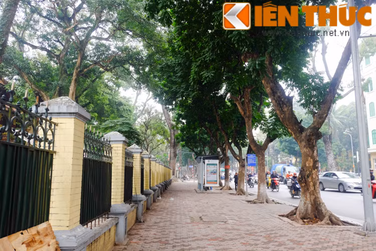 Những con phố có vỉa hè rộng ở Hà Nội thường ít nhà dân sinh sống, mà chủ yếu tập trung các cơ quan hành chính. Một góc đường Trần Phú (Hà Nội).