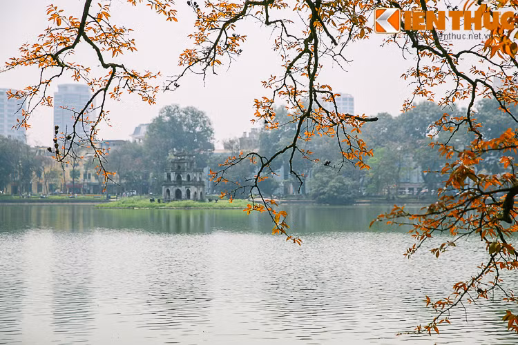 Anh: Ha Noi dep nao long mua cay thay la