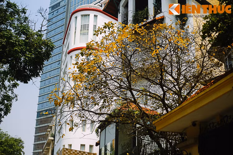 Bước thật chậm để ngắm nhìn những cảnh sắc tuyệt đẹp của phố phường quen thuộc.