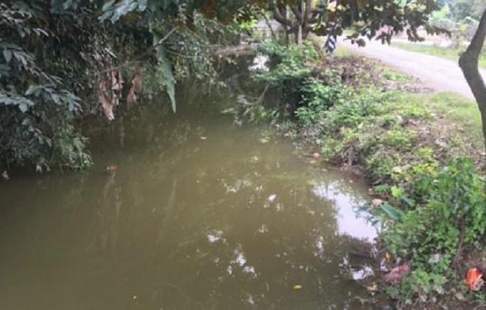  Nữ sinh lớp 10 tử nạn bí ẩn dưới ao: Ngày 7/12, UBND xã Phong Thịnh (huyện Thanh Chương, Nghệ An) cho biết, ngày 4/12, em L.T.O. (SN 2006), học sinh lớp 10 trường THPT Thanh Chương 3 mất tích sau khi rời nhà sau bữa cơm trưa. Sau quá trình tìm kiếm, chiều 6/12, thi thể nữ sinh xấu số được người dân địa phương tìm thấy dưới một ao cá trong làng. Hiện vụ việc đang được cơ quan chức năng điều tra, làm rõ.